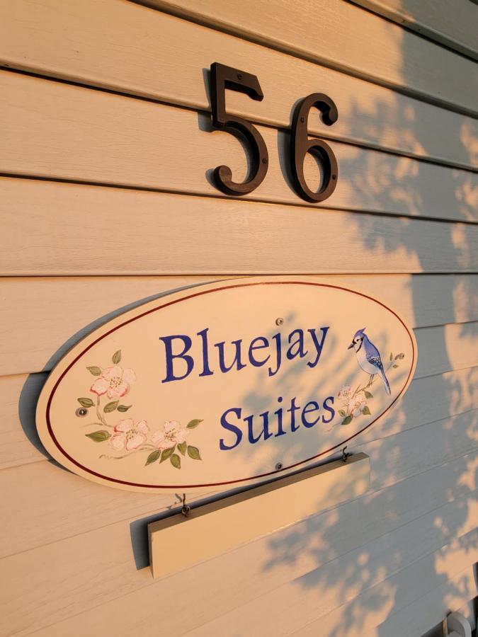 Bluejay Suites B&B Whitehorse Zewnętrze zdjęcie